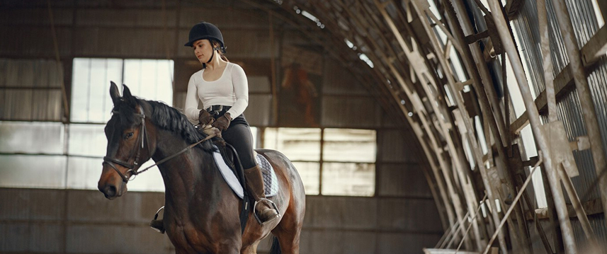 конный спорт